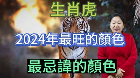 虎年幸運顏色|【屬虎幸運色】2024年屬虎人專屬！掌握幸運色與禁忌色，招財。